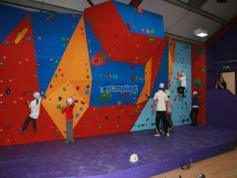 Wild Rock Climbing, prices and bookings 2024